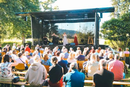 Mini festival v naravi (6)